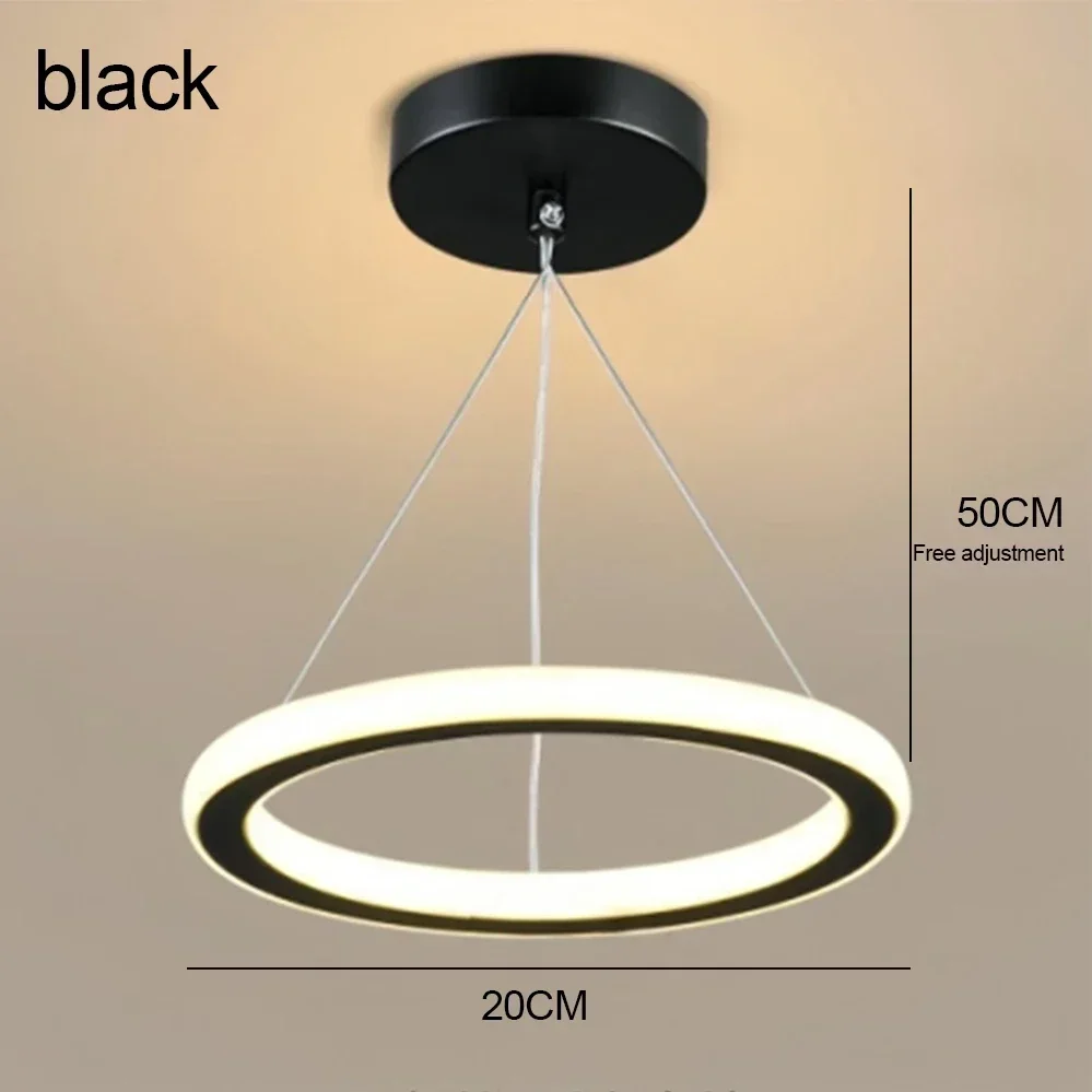 Round Ring Hanging LED Ceiling Light