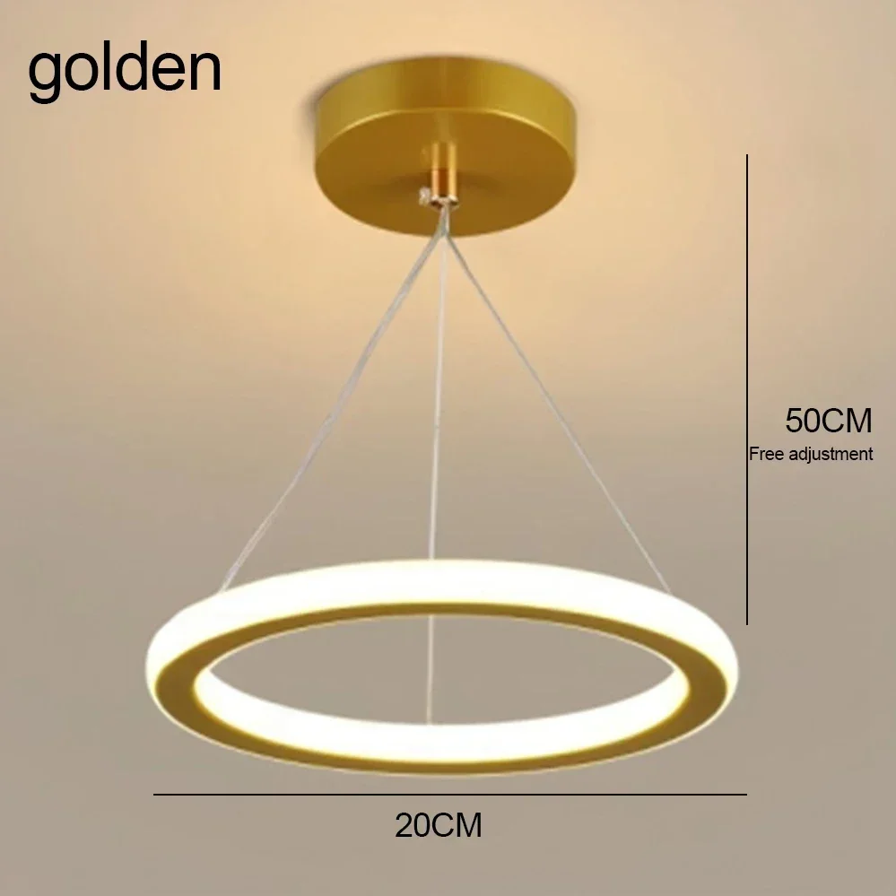 Round Ring Hanging LED Ceiling Light