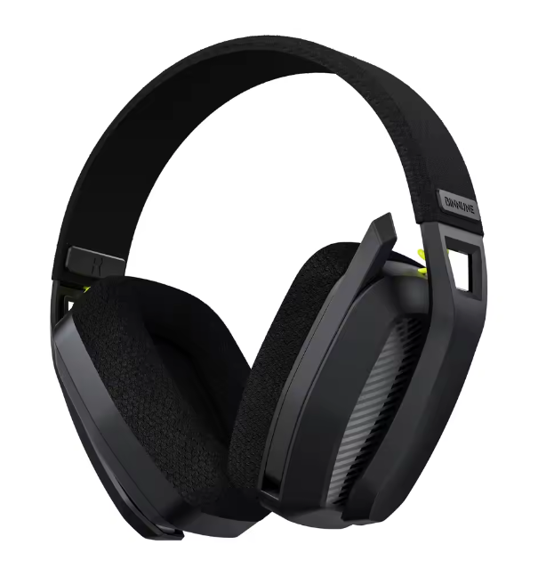 Wireless Gaming Headset with Mic