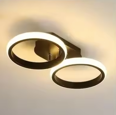 Double Circle Ceiling LED Lamp