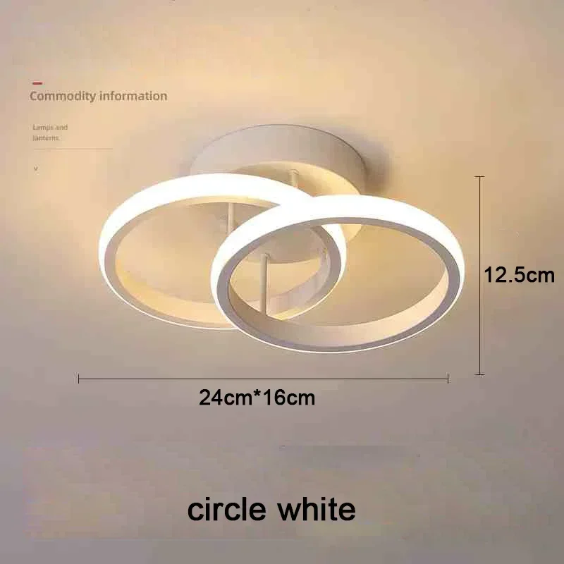 Double Circled LED Ceiling Light