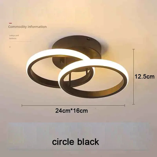 Double Circled LED Ceiling Light