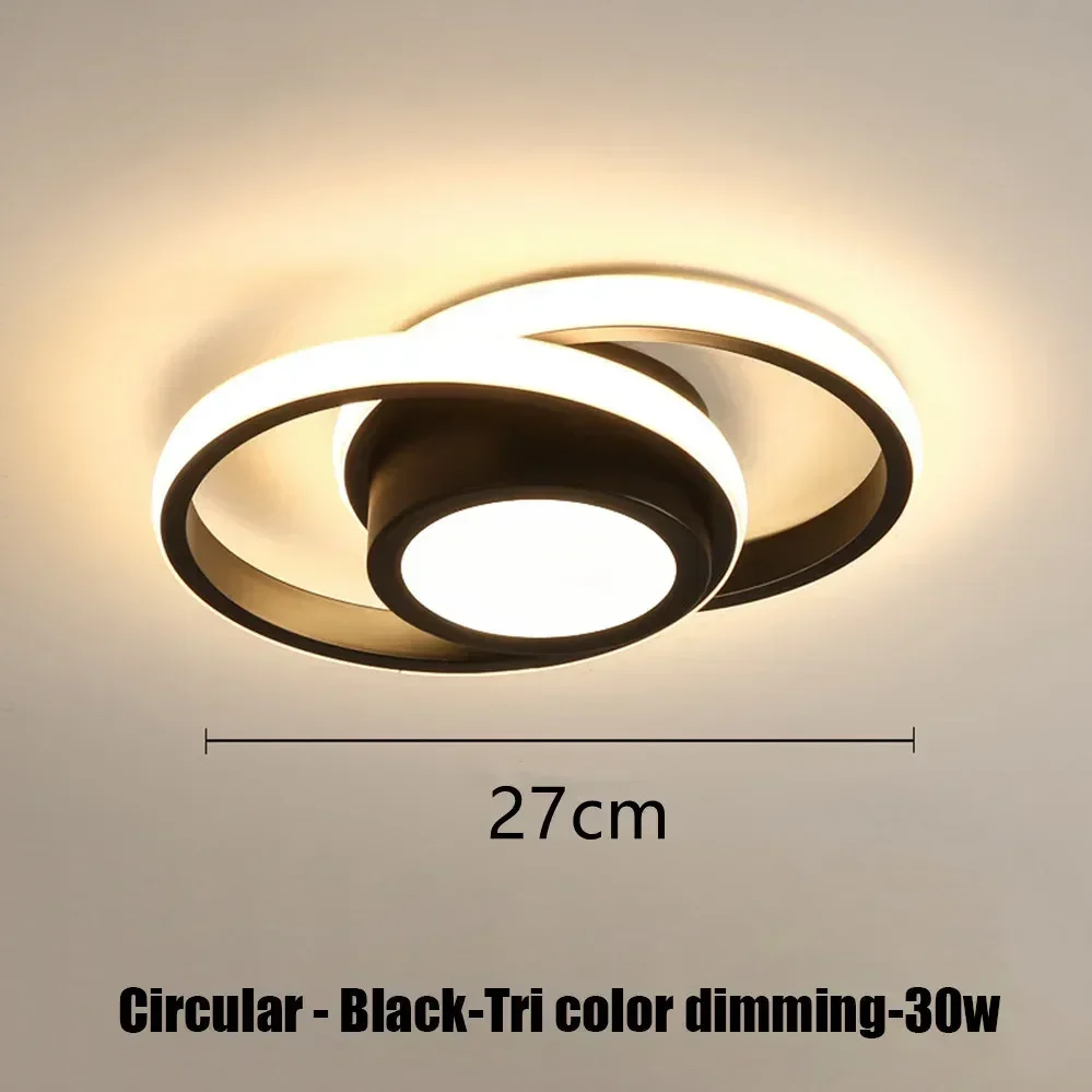 Double Circled Centre LED Ceiling Light