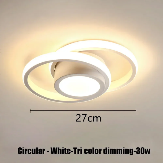 Double Circled Centre LED Ceiling Light